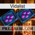 Vidalist 03